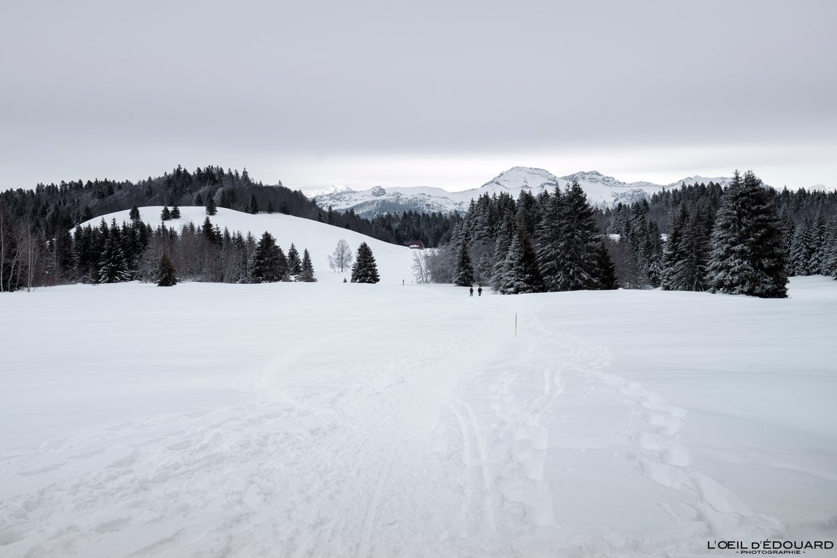 Croix des Bergers Caminhada Raquetes de neve Le Revard Massif des Bauges Alpes Savoie Paisagem Montanha Inverno Neve FranÃ§a Neve ao ar livre Inverno Alpes franceses Paisagem montanhosa