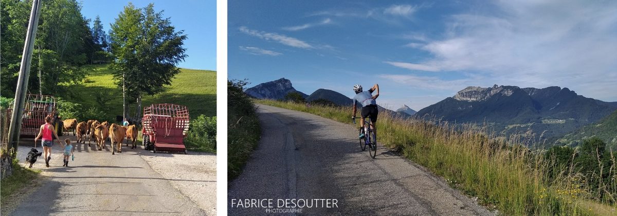 Ciclismo Ciclismo Entremont-le-Vieux Maciço de la Chartreuse Alpes Savoy França - Paisagem montanhosa ao ar livre Alpes franceses Paisagem montanhosa Bicicleta de corrida
