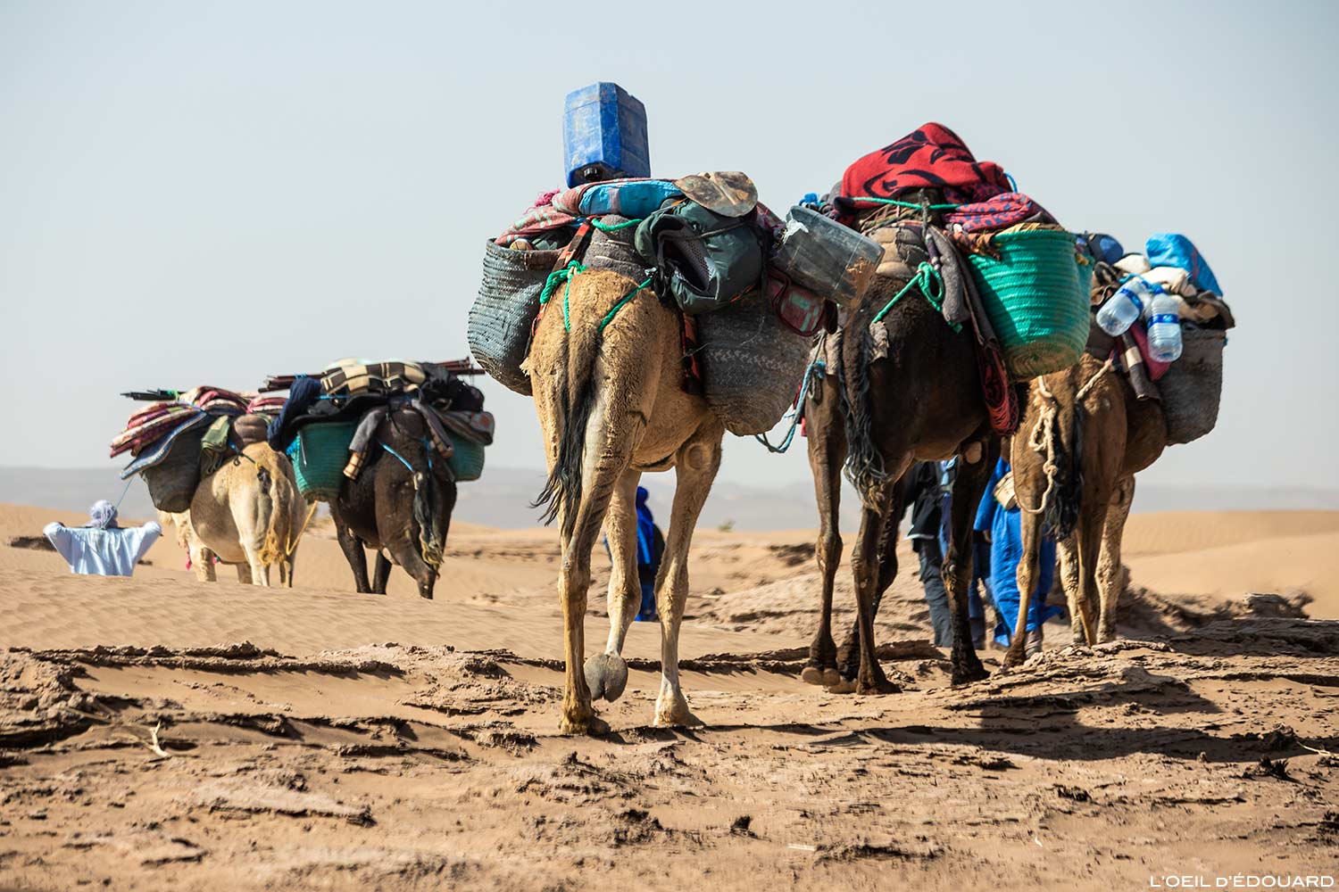 Caravana de camelos durante a caminhada no deserto marroquino com Mélodie du Désert
