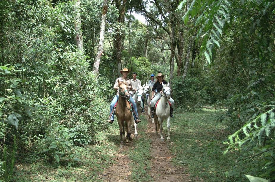Alguns chalés organizam passeios a cavalo, como a Pousada dos Marchadores, que administra uma fazenda de cavalos