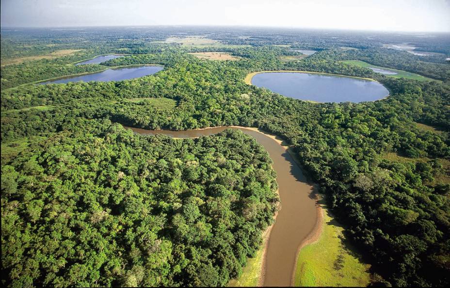 O Pantanal, a maior área úmida do mundo, abriga 250 espécies de peixes, 80 mamíferos, 50 répteis e mais de 650 aves