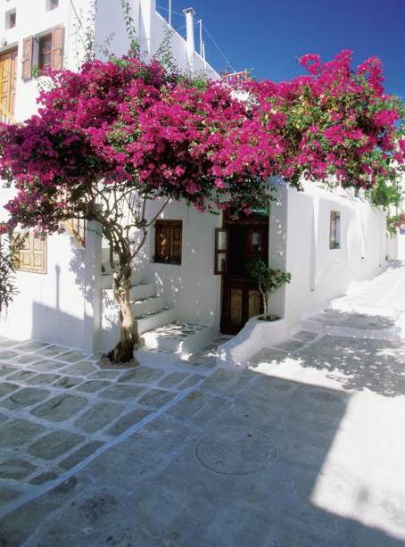 As famosas casas caiadas de branco praticamente no mar e alinhadas em ruas estreitas compõem a bela paisagem de Santorini