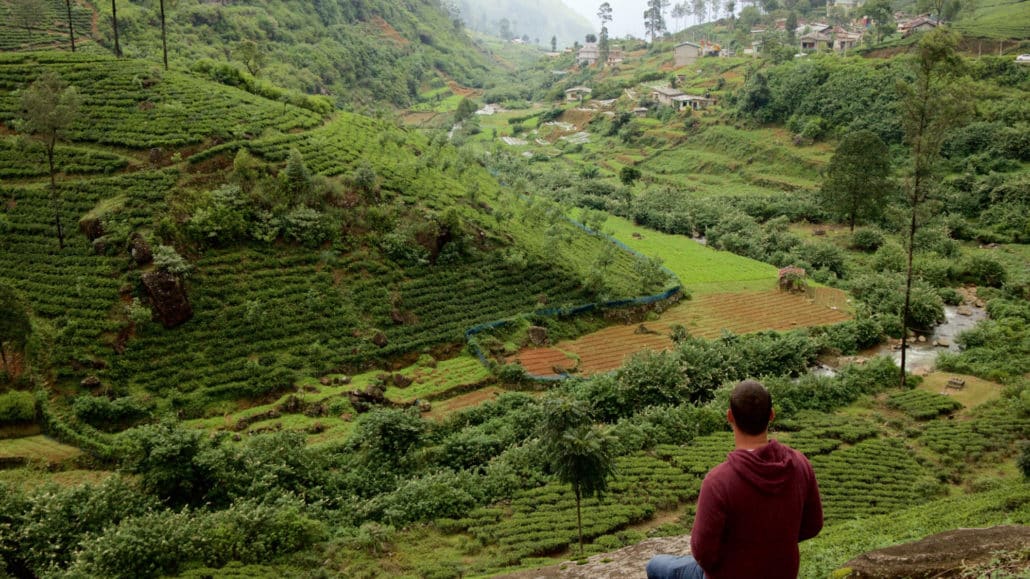 Campos de chá em Ella Sri Lanka