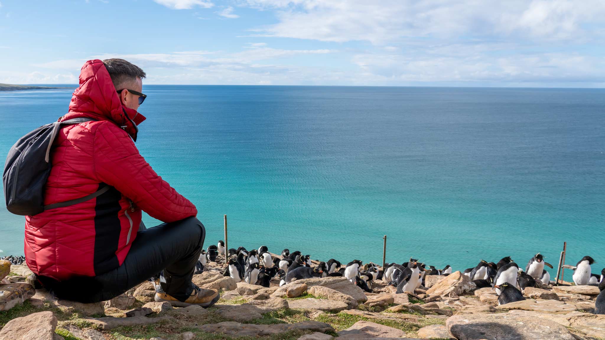 Dan está sentado com um casaco vermelho à esquerda, com as águas azuis claras em vários tons além dele.  Um grupo de pinguins saltitantes está pontilhado nas rochas à direita.