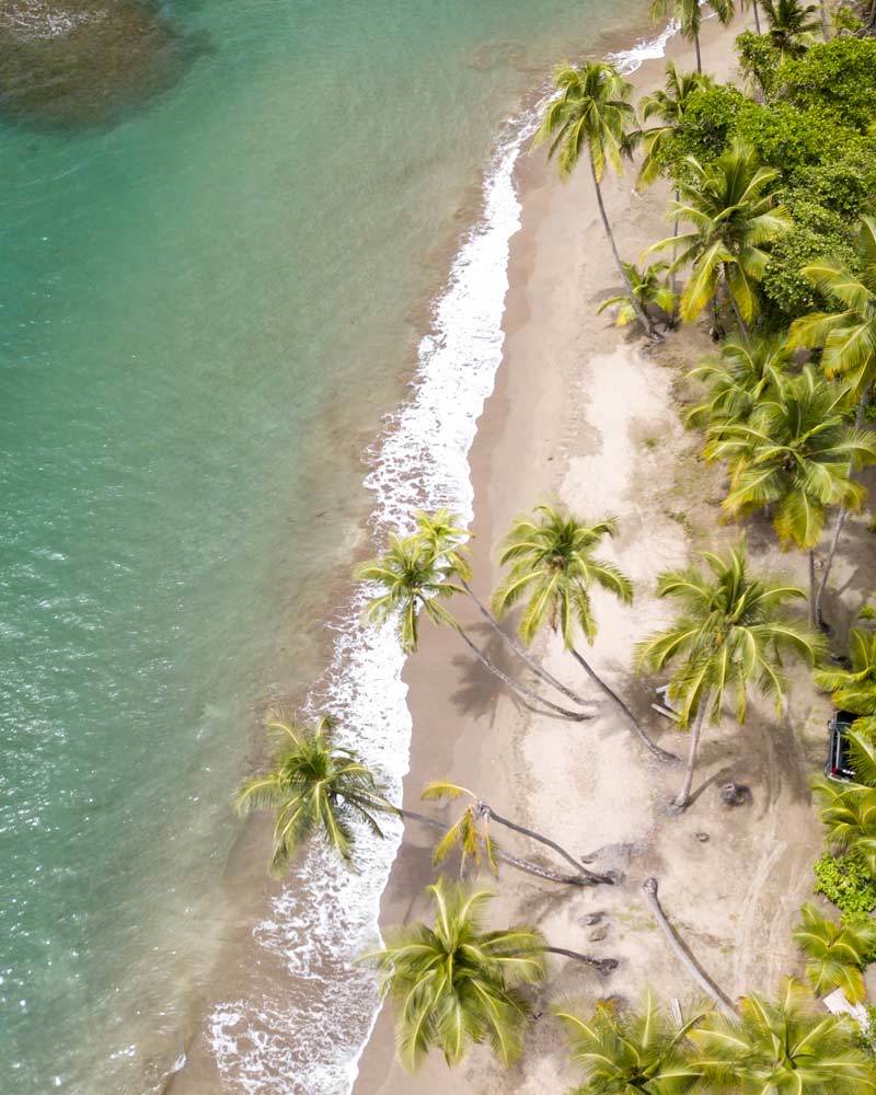 As palmeiras e o oceano da praia de Batabou, na Dominica, vistos de cima